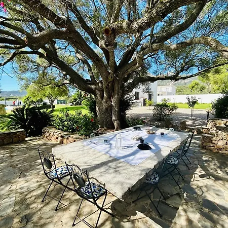 Villa Giada Cugnana Verde